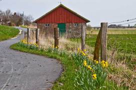 pellworm-landurlaub-nordsee.jpg